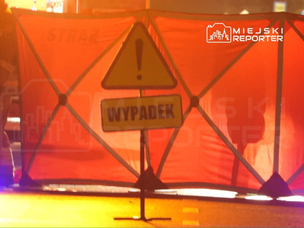 Makabryczne odkrycie na drodze krajowej. Na jezdni leżało ciało człowieka. Policja szuka świadków - Miejski Reporter