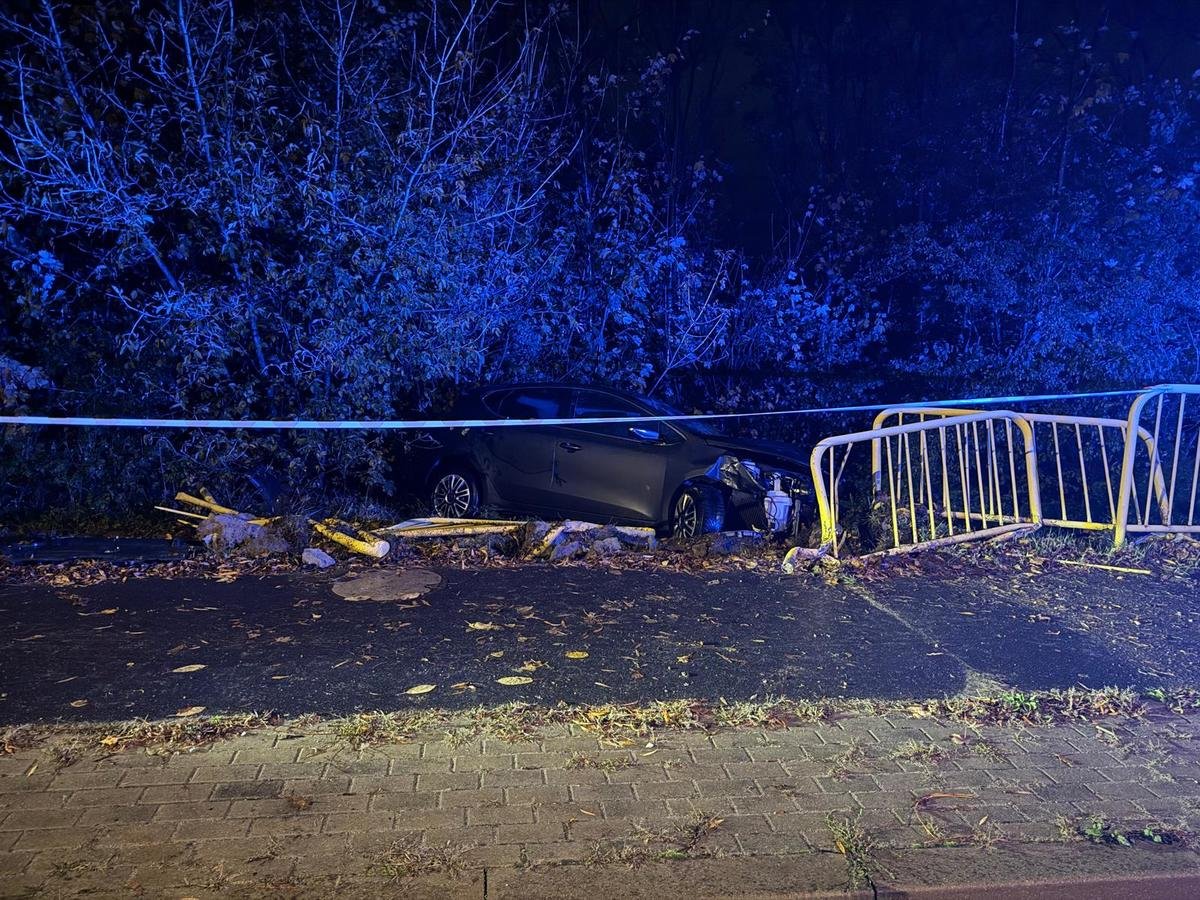 Samochód osobowy wjeżdżający w pobliżu ogrodzenia, otoczony przez zarośla, w ciemnej scenerii nocnej.