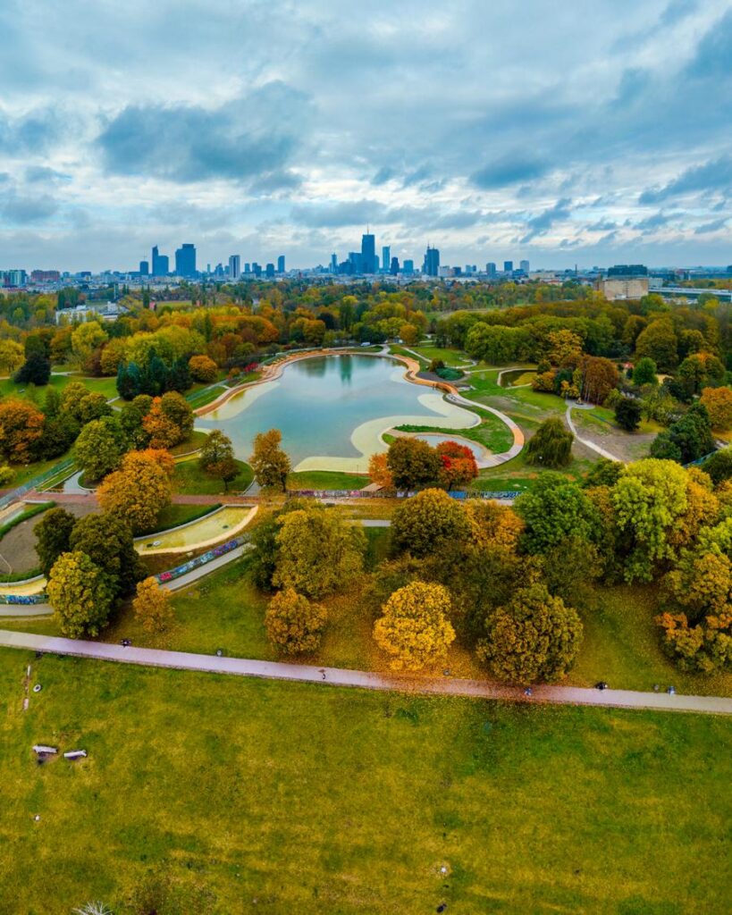 Pole Mokotowskie z nowymi nasadzeniami. Park rośnie w siłę - Miejski Reporter