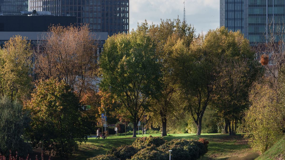 Poznań ilość mieszkańców – nowoczesna panorama Poznania z terenami zielonymi