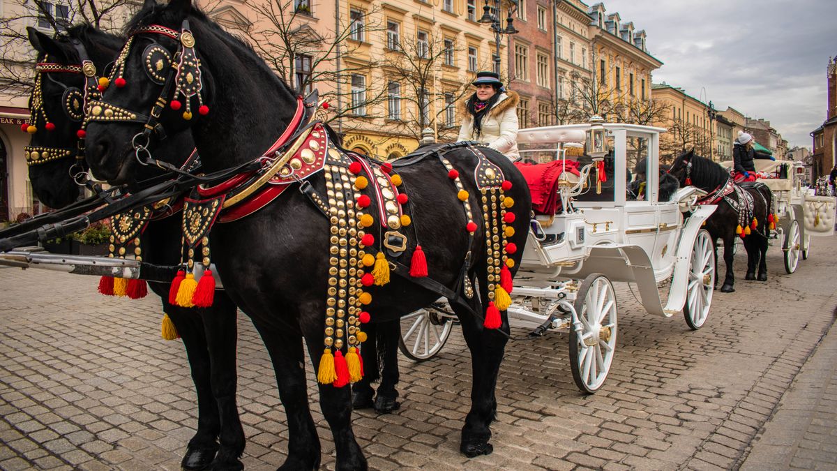Kraków ile mieszkańców – dorożki na Rynku Głównym w Krakowie