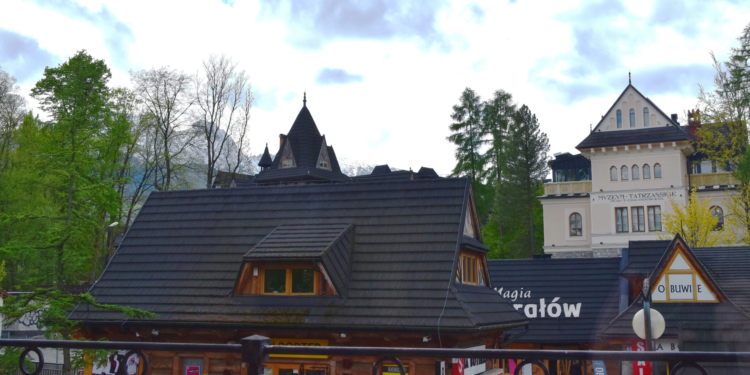 Panorama Zakopanego z zabudową mieszkaniową na tle Tatr