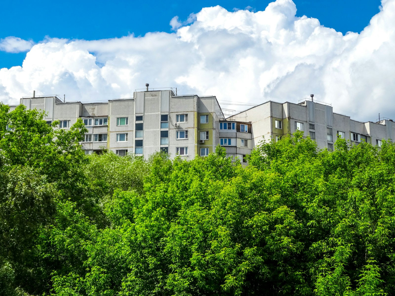 Budynki mieszkalne otoczone bujną zielenią, osiedle odporne na upały